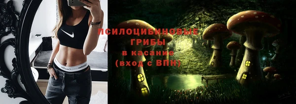 ECSTASY Медногорск