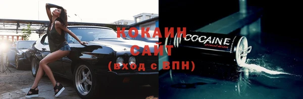 ECSTASY Медногорск