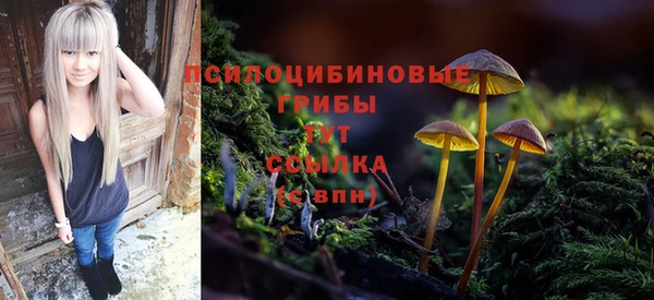 прущая мука Мегион