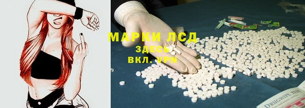 PSILOCYBIN Медвежьегорск