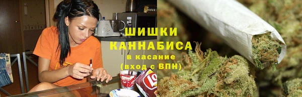 PSILOCYBIN Медвежьегорск