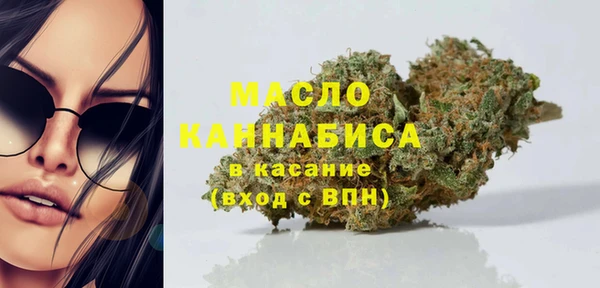 ECSTASY Медногорск
