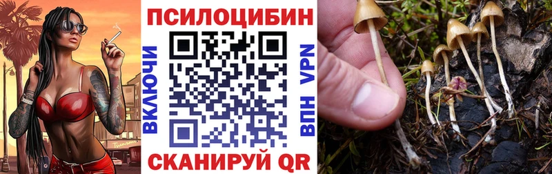 Купить закладки Сальск Псилоцибиновые грибы прущие грибы