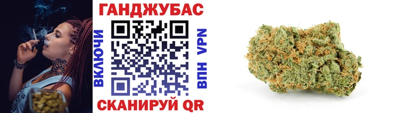Купить  Сальск  Шишки марихуана SATIVA & INDICA 
